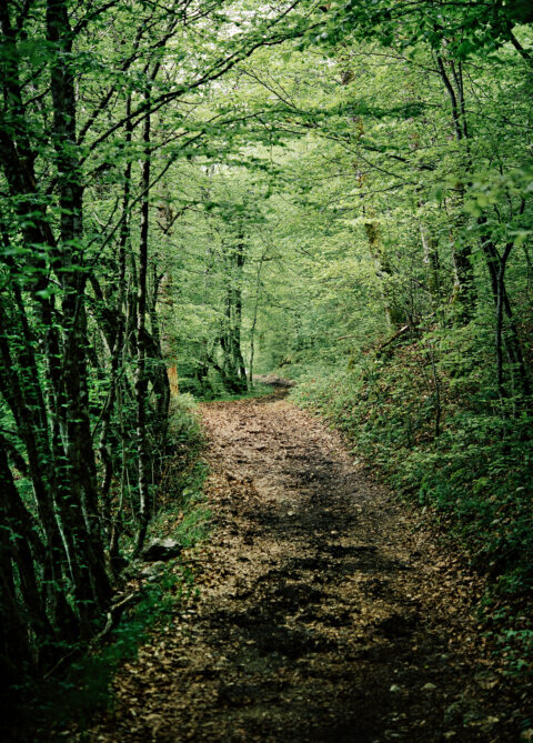 Séjour Cuisine Enracinée